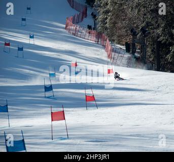 Giovane sciatore femminile in corso durante la gara di sci del 2022 Macomber Giant Slalom presso la zona sciistica di Crotched Mountain a Bennington, New Hampshire, USA. Foto Stock