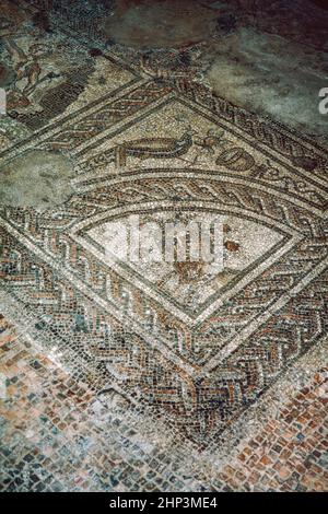 Brading Roman Villa a Brading sull'isola di Wight, uno dei più bei siti romani del Regno Unito. Sala 12 - Estate e mosaici pavone. Scansione di archivio da un vetrino. Aprile 1977. Foto Stock