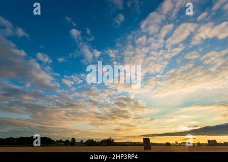 Le nuvole di Altocumulus danno un tramonto attraente su un campo di raccolto di cereali nel West Yorkshire Foto Stock