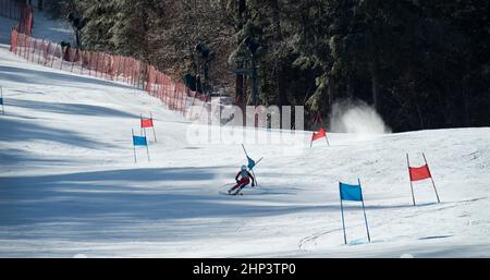 Giovane sciatore femminile in corso durante la gara di sci del 2022 Macomber Giant Slalom presso la zona sciistica di Crotched Mountain a Bennington, New Hampshire, USA. Foto Stock