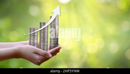 Lato albero di monete l'albero cresce sulla pila. Risparmio di denaro per il futuro. Le idee di investimento e crescita aziendale. Sfondo verde con bokeh sun Foto Stock