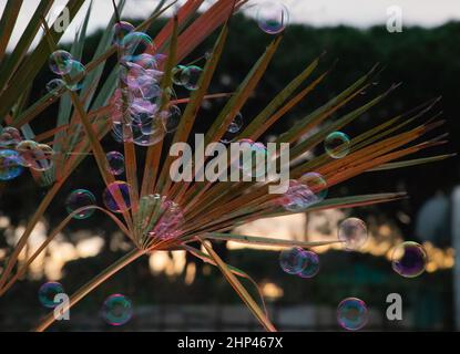 Bolla di sapone Foto Stock