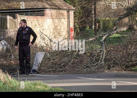 Station Lane, Godalming. 18th febbraio 2022. I venti di forza dell'uragano hanno colpito oggi le contee domestiche mentre la Storm Eunace ha fatto la caduta. Danni da tempesta a Godalming in Surrey dove le linee elettriche sono scese a causa di alberi cadenti. Credit: james jagger/Alamy Live News Foto Stock