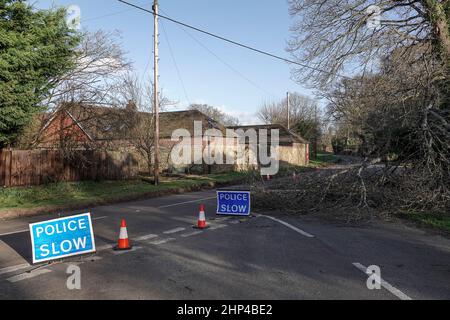 Station Lane, Godalming. 18th febbraio 2022. I venti di forza dell'uragano hanno colpito oggi le contee domestiche mentre la Storm Eunace ha fatto la caduta. Danni da tempesta a Godalming in Surrey dove le linee elettriche sono scese a causa di alberi cadenti. Credit: james jagger/Alamy Live News Foto Stock