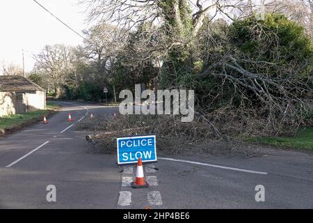 Station Lane, Godalming. 18th febbraio 2022. I venti di forza dell'uragano hanno colpito oggi le contee domestiche mentre la Storm Eunace ha fatto la caduta. Danni da tempesta a Godalming in Surrey dove le linee elettriche sono scese a causa di alberi cadenti. Credit: james jagger/Alamy Live News Foto Stock