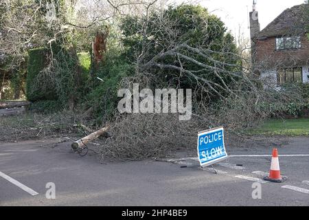 Station Lane, Godalming. 18th febbraio 2022. I venti di forza dell'uragano hanno colpito oggi le contee domestiche mentre la Storm Eunace ha fatto la caduta. Danni da tempesta a Godalming in Surrey dove le linee elettriche sono scese a causa di alberi cadenti. Credit: james jagger/Alamy Live News Foto Stock