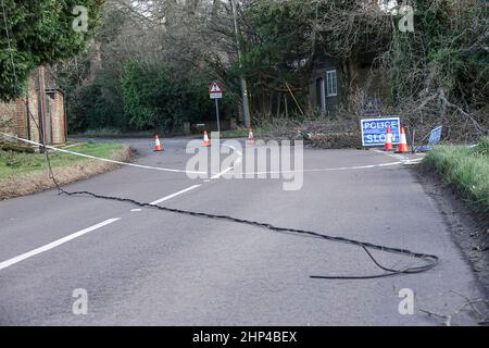 Station Lane, Godalming. 18th febbraio 2022. I venti di forza dell'uragano hanno colpito oggi le contee domestiche mentre la Storm Eunace ha fatto la caduta. Danni da tempesta a Godalming in Surrey dove le linee elettriche sono scese a causa di alberi cadenti. Credit: james jagger/Alamy Live News Foto Stock