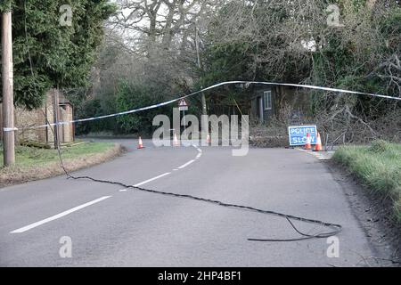 Station Lane, Godalming. 18th febbraio 2022. I venti di forza dell'uragano hanno colpito oggi le contee domestiche mentre la Storm Eunace ha fatto la caduta. Danni da tempesta a Godalming in Surrey dove le linee elettriche sono scese a causa di alberi cadenti. Credit: james jagger/Alamy Live News Foto Stock