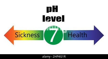 Il livello del pH Ballance Scala grafico che illustra le prestazioni di malattia e di salute nel corpo umano infographics vettore Foto Stock