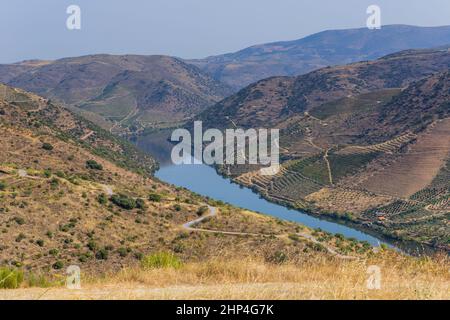 Fiume Douro vicino alla foce del fiume COA. Comune di Vila Nova de Foz COA. Regione del Douro. Foto Stock