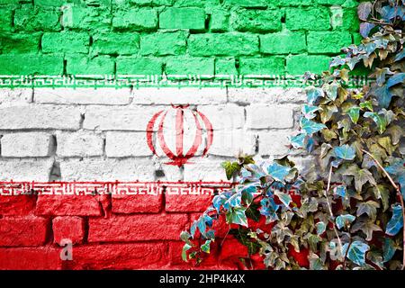 Bandiera di grunge iraniana sul muro di mattoni con pianta di edera, simbolo di paese concetto di Iran Foto Stock