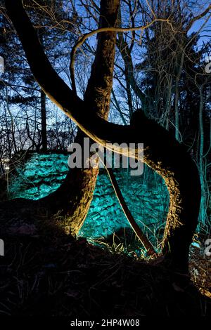 Le rovine del Castello di Seiano sono circondate da fitti boschi e leggende medievali ancestrali. Arco, provincia di Trento, Trentino Alto Adige, Italia, Europa. Foto Stock