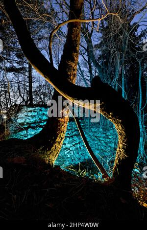 Le rovine del Castello di Seiano sono circondate da fitti boschi e leggende medievali ancestrali. Arco, provincia di Trento, Trentino Alto Adige, Italia, Europa. Foto Stock