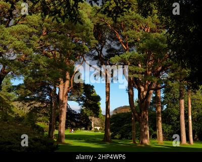The Gardens of Muckross House, Killarney National Park, County Kerry, Irlanda Foto Stock
