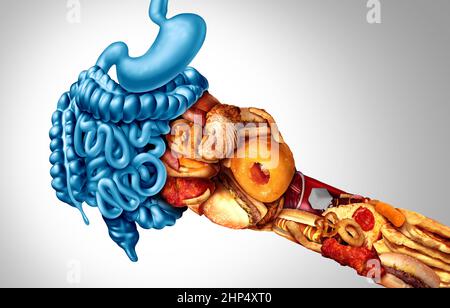 Effetti di fast food e sintomi di infiammazione dell'intestino e del colon che causano obesità e dolore come intestino che viene colpito duramente da un consumo malsano. Foto Stock