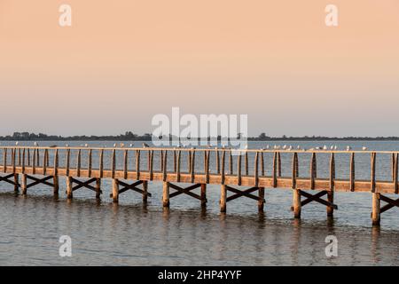 Molo sul lago Lesina al tramonto Foto Stock