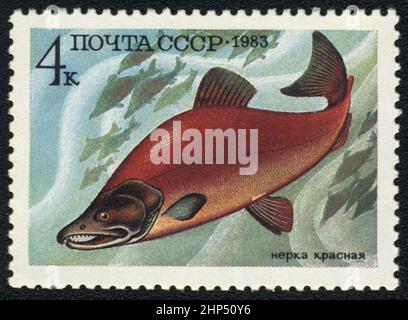 Un francobollo con immagine di salmone rosso del Sockeye del pesce (Oncorhynchus nerka), URSS, 1983 Foto Stock