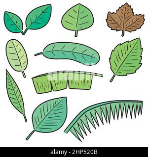 Set di vettore di foglie Illustrazione Vettoriale