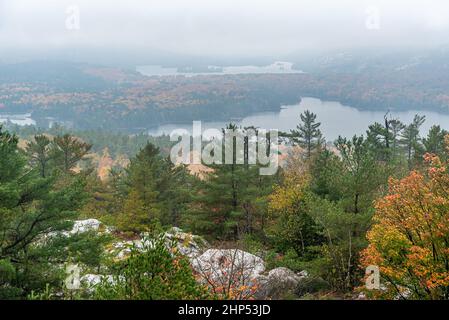 Rocce e alberi colorati nel Killarney Park in autunno, Canada Foto Stock