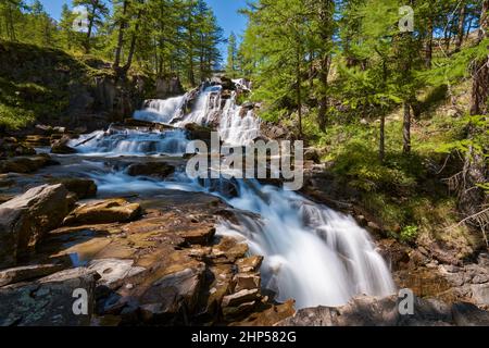 Cascata Fontcouverte nella Valle del Claree circondata da larici in estate. Vallée de la Clarée in Hautes Alpes (Cerces Massif), Alpi, Francia Foto Stock