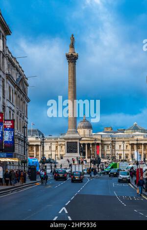 Nelson's column, Trafalgar Square, Londra, Regno Unito, Europa. Foto Stock