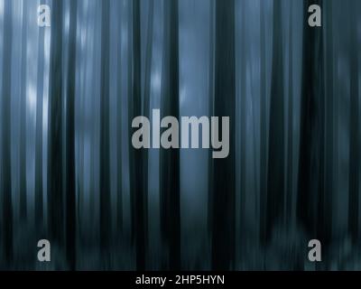 Illustrazione di una foresta scura Foto Stock