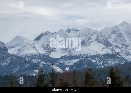 Bella vista dei Tatra polacchi in paesaggio invernale. Cime di montagna nascosto in belle nuvole. Vista sulle cime più alte coperte di neve in polacco Foto Stock