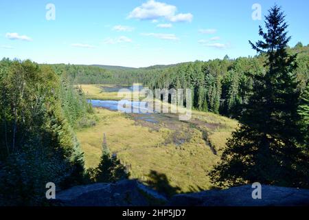 Vista panoramica sul paesaggio lungo il Beaver Pond Trail Foto Stock