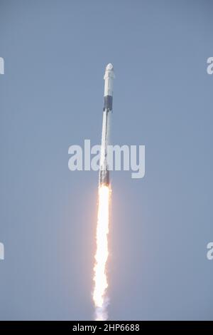 Una navicella spaziale SpaceX Falcon 9 e Crew Dragon si alza dal Launch Complex 39A al Kennedy Space Center della NASA in Florida il 30 maggio 2020, Foto Stock