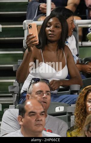 Florida, Stati Uniti. 18th Feb 2022. Febbraio, 18 - Delray Beach: Venus Williams è al pubblico per guardare Rielly Opelka (USA) giocare Adrian Mannarino (fra) al Delray Beach Open 2022 entro il Vitacost.com. Il 18 febbraio 2022 a Delray Beach, Florida. Credit: Andrew Patron/MediaPunch Credit: MediaPunch Inc/Alamy Live News Foto Stock