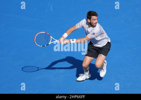 Florida, Stati Uniti. 18th Feb 2022. Febbraio, 18 - Delray Beach: Stefan Kozlov (USA) suona Cameron Norrie (GBR) durante la loro partita finale al Delray Beach Open 2022 entro il Vitacost.com. Il 18 febbraio 2022 a Delray Beach, Florida. Credit: Andrew Patron/MediaPunch Credit: MediaPunch Inc/Alamy Live News Foto Stock