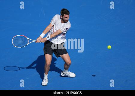 Florida, Stati Uniti. 18th Feb 2022. Febbraio, 18 - Delray Beach: Stefan Kozlov (USA) suona Cameron Norrie (GBR) durante la loro partita finale al Delray Beach Open 2022 entro il Vitacost.com. Il 18 febbraio 2022 a Delray Beach, Florida. Credit: Andrew Patron/MediaPunch Credit: MediaPunch Inc/Alamy Live News Foto Stock