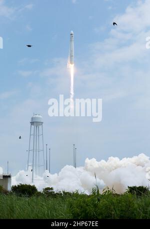 Il razzo Antares della Orbital Sciences Corporation parte da Pad-0A con la navicella spaziale Cygnus a bordo, domenica 13 luglio 2014, presso la struttura di volo Wallops della NASA in Virginia. Foto Stock