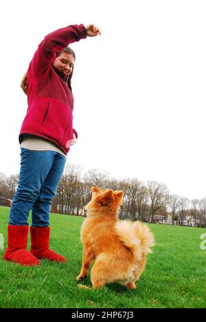 Una ragazza giovane addestra il suo cane per sedersi e saltare Foto Stock