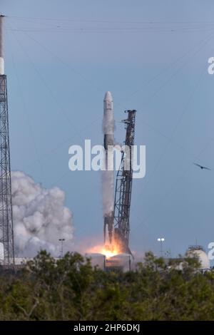 Un razzo SpaceX Falcon 9 si solleva dallo Space Launch Complex 40 alla Stazione dell'Aeronautica militare di Cape Canaveral in Florida alle 4:30 EST, trasportando la navicella spaziale SpaceX Dragon. Nella sua missione di servizi di rifornimento commerciale del 14th, Dragon fornirà forniture, attrezzature e nuovi esperimenti scientifici per la ricerca tecnologica alla stazione spaziale. Foto Stock