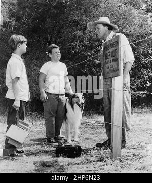 Scena dal programma televisivo Lassie. Jeff (Tommy Rettig, a sinistra) e Porky (Donald Keeler - il vero nome è Joey D. Vieira) sono informati da un proprietario di terra (otto Waldis) di tenere fuori della sua proprietà. 7 settembre 1956 Foto Stock