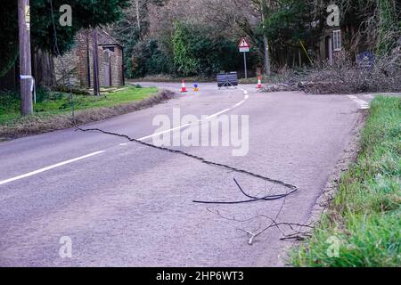 Station Lane, Godalming. 19th febbraio 2022. La cancellazione dopo Storm Eunace continuò attraverso le contee di casa questa mattina. I cavi di alimentazione sono stati portati giù da un albero cadente in Godalming in Surrey, causando i powercut. In tutto il Regno Unito migliaia di case continuano ad essere senza potere dopo la più grande tempesta da colpire per oltre 30 anni. Credit: james jagger/Alamy Live News Foto Stock