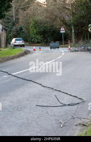 Station Lane, Godalming. 19th febbraio 2022. La cancellazione dopo Storm Eunace continuò attraverso le contee di casa questa mattina. I cavi di alimentazione sono stati portati giù da un albero cadente in Godalming in Surrey, causando i powercut. In tutto il Regno Unito migliaia di case continuano ad essere senza potere dopo la più grande tempesta da colpire per oltre 30 anni. Credit: james jagger/Alamy Live News Foto Stock