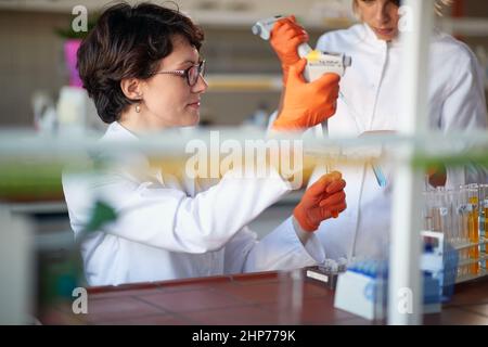 Una giovane studentesse che pipettano in un ambiente di laboratorio sterile. Scienza, chimica, laboratorio, persone Foto Stock