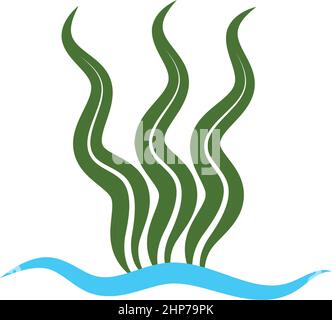 modello di disegno di illustrazione vettoriale di icone delle alghe marine Illustrazione Vettoriale