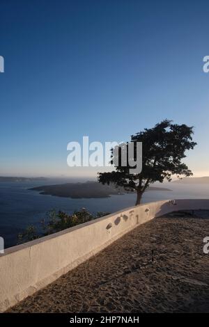 Bella grande terrazza con alberi e una vista mozzafiato sul vulcano e il mare egeo a Santorini Grecia Foto Stock