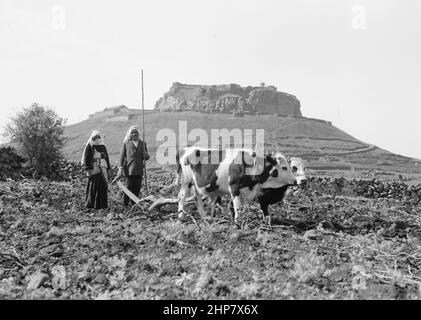 Storia del Medio Oriente: Jebel el-Druze & Hauran. Salkhad. Un uomo che mostra castello-collina in distanza Ubicazione: Siria--Salkhad ca. 1938 Foto Stock