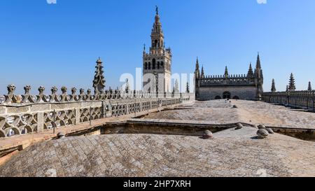 La Giralda - Vista sul tetto della cima della Giralda e dettagli delle volte a coste dalla navata centrale sul tetto della Cattedrale di Siviglia. Siviglia, Spagna. Foto Stock