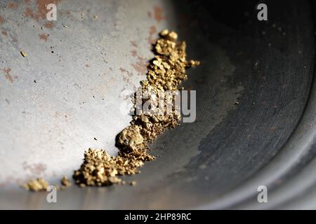 Pepite d'oro di fiume pannate a mano dalla Bulgaria in padella d'oro Foto Stock