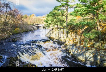 Una delle cascate di Low Force Waterfalls sul fiume Tees in Upper Teesdale, Country Durham. Questo è vicino alla Pennine Way ed è AONB Foto Stock