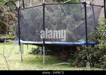 Hambledon Road, Godalming. 19th febbraio 2022. Il chiarore che segue Storm Eunace è continuato oggi attraverso le contee domestiche. Tempesta danni in Godalming in Surrey. Credit: james jagger/Alamy Live News Foto Stock