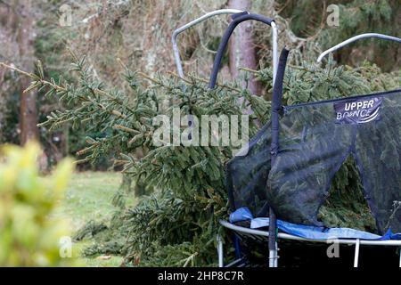 Hambledon Road, Godalming. 19th febbraio 2022. Il chiarore che segue Storm Eunace è continuato oggi attraverso le contee domestiche. Tempesta danni in Godalming in Surrey. Credit: james jagger/Alamy Live News Foto Stock