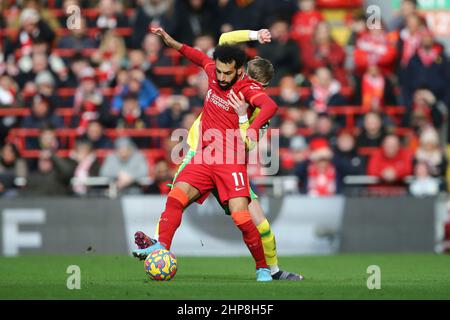 Liverpool, Regno Unito. 19th Feb 2022. Mohamed Salah di Liverpool combatte per il pallone Brandon Williams di Norwich City. Premier League Match, Liverpool contro Norwich City ad Anfield in Liverpool sabato 19th febbraio 2022. Questa immagine può essere utilizzata solo a scopo editoriale. Solo per uso editoriale, licenza richiesta per uso commerciale. Nessun uso in scommesse, giochi o un singolo club / campionato / giocatori pubblicazioni. pic di Chris Stading/Andrew Orchard sport fotografia/Alamy Live news credito: Andrew Orchard sport fotografia/Alamy Live News Foto Stock