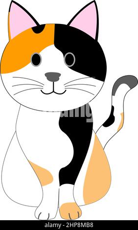 Un gatto tartaruga con sfondo bianco Foto Stock