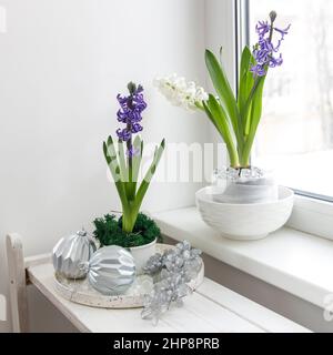 Giacinto bianco e blu in una grande ciotola di porcellana, sono sul ripiano contro la parete bianca. Layout. Concetto di primavera Foto Stock